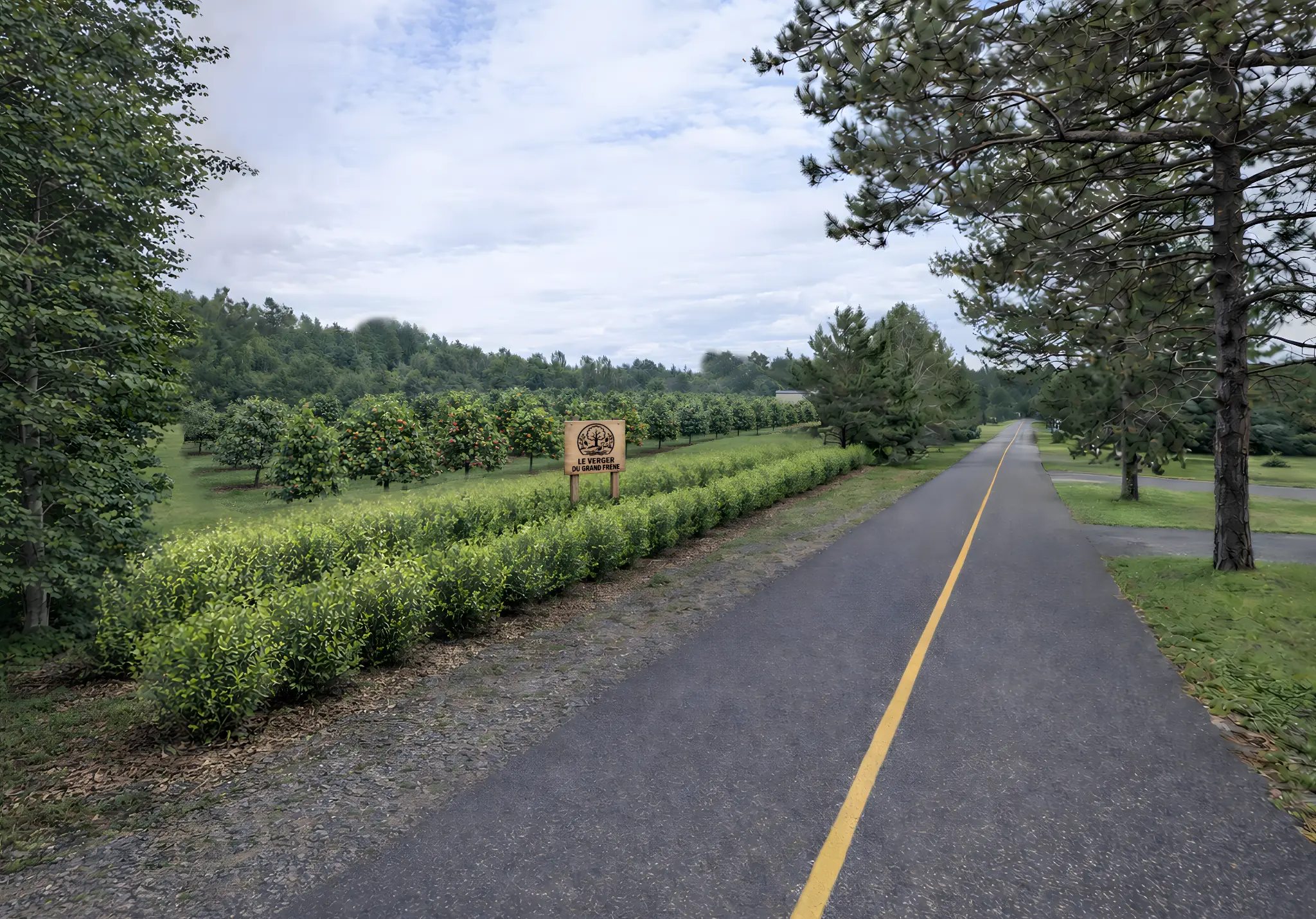 Pommes Liberty - 5 kg